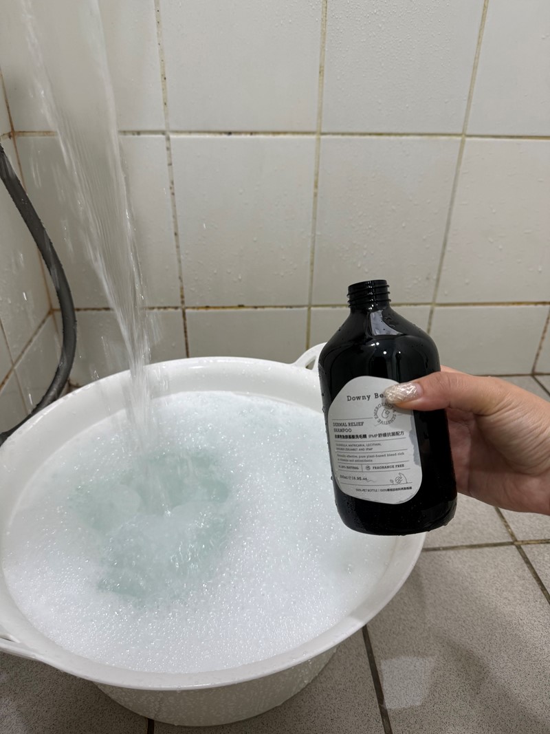 女人知己試用大隊,口碑行銷,部落客行銷,Downy Belly毛肚子,Downy Belly 保濕滋養胺基酸洗毛精,紅球薑淨膚配方,Downy Belly 保濕滋養胺基酸洗毛精-紅球薑淨膚配方,洗品天生防禦力，皮膚天生就很強,除了洗乾淨，其他的真的先不用,胺基酸清潔因子,好的界面活性劑，才能好洗,好沖淨,不易殘留,適量的細緻泡泡,狗貓皆適用,加拿大毒物學家安全把關,100%環保回收料再製瓶器,零廢棄為目標,低敏洗毛精,寵物訓練師好評,Downy Belly毛肚子,Downy Belly 皮膚救急胺基酸洗毛精,IPMP舒緩配方,Downy Belly 皮膚救急胺基酸洗毛精-IPMP舒緩配方,洗品天生防禦力,皮膚天生就很強,除了洗乾淨,其他的真的先不用,胺基酸清潔因子,APG+胺基酸清潔因子,IPMP高安全的成分,好的界面活性劑,才能好洗、好沖淨、不易殘留,適量的細緻泡泡,狗貓皆適用,加拿大毒物學家安全把關,100%環保回收料再製瓶器,零廢棄為目標,低敏洗毛精,寵物訓練師好評